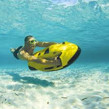 Family Model Scooter